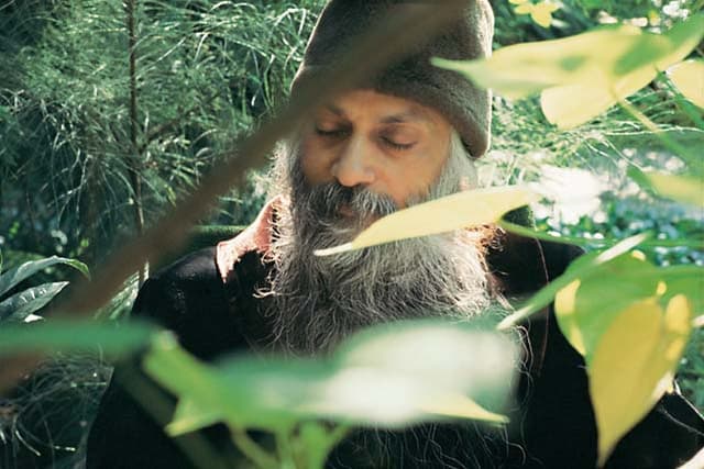 Rajneesh 